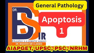 Apoptosis 1  General Pathology  DrBhavesh Sir Classes I DrBhavesh Sir Pharmacy [upl. by Etteyafal609]