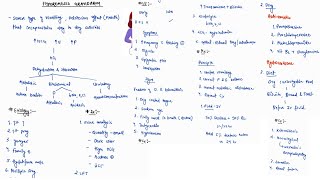 HYPEREMESIS GRAVIDARUM NOTES  OBSTETRICS  ONE PAGE NOTES  4TH PROFF  MBBS  OBGY [upl. by Mintun]