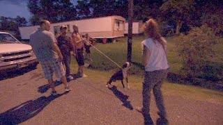 Neighborhood Riled Up Over Scared Aggressive Dog [upl. by Matthei233]