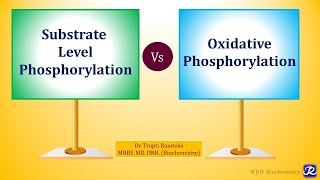 5 Substrate Level Phosphorylation  Biological Oxidation  Biochemistry  NJOY Biochemistry [upl. by Yesnil375]