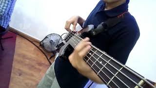 Eres mi Sanador  Miel San Marcos Bass cover [upl. by Hamid]