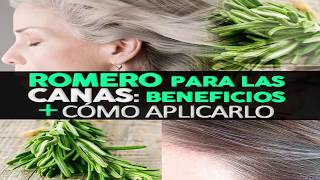 Cómo Aplicar El Romero Para Oscurecer Las Canas Y Qué Beneficios Tiene Para Tu Cabello [upl. by Atnauq]