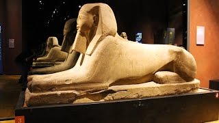 Egyptian Museum 2016 Italy Turin [upl. by Pietro]