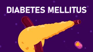 What is Diabetes Mellitus  Understanding Diabetes  Diabetes Type 1 and Type 2 [upl. by Verdie]