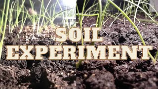 Experimenting with soil Trying to avoid buying more peat moss  Part 1 [upl. by Nylak]