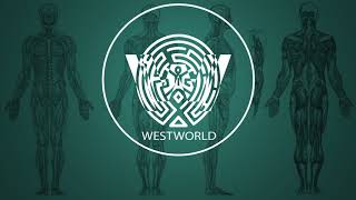 Ramin Djawadi  Paint It Black Westworld Season 2 Soundtrack [upl. by Irap]