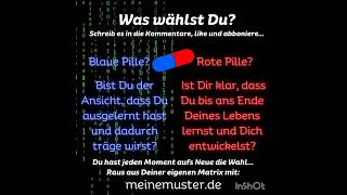 Was wählst Du 🔵🔴 Schreib es in die Kommentare like und abonniere Lernen bis ans Lebensende [upl. by Lizette]