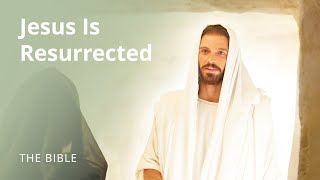 John 20  Jesus Is Resurrected  The Bible [upl. by Heriberto640]