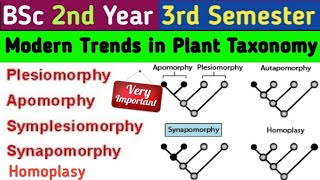 ApomorphySynapomorphy PlesiomorphySymplesiomorphyHomoplasyBSc 2nd Year 3rd Semester Botany [upl. by Ario]