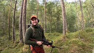 Red Deer Hunting In Fusa  Hjortejakt Vestland 2024 [upl. by Enel]