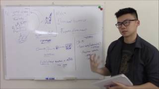 USMLE Biochemistry 24 Genetic Terms [upl. by Bjorn99]