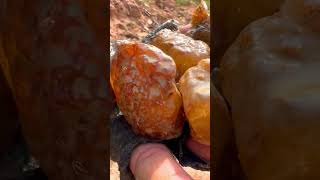 Finding Natural Carnelian Gemstones In Clay Mud By Hand At Mountain quartzlover quartz quartzite [upl. by Carmita853]