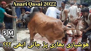 Anari Qasai 2022  Eid UL Azha [upl. by Llerahc75]