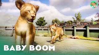 Baby Lions Baby Tigers amp Foliage  Lets Play Planet Zoo Franchise 17 [upl. by Merfe63]