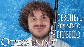 OTTAVINO  perché è lo strumento più bello dellOrchestra [upl. by Ytoc]