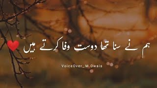 Hum Nay Suna Tha Dost Wafa Karte Hain  Sad Shero Shayari Painfull Status [upl. by Ahsinrad941]