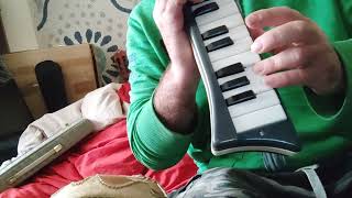 VINTAGE HOHNER MELODICA PIANO26 VS VINTAGE HOHNER MELODICA SOPRANO  1 [upl. by Paz908]