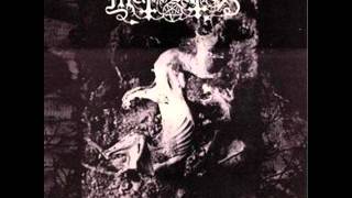 Mütiilation  The Hanged Priest [upl. by Aihsekal]