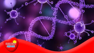 Three Types of Genetic Diseases  More Science on the Learning Videos Channel [upl. by Euqinitram]