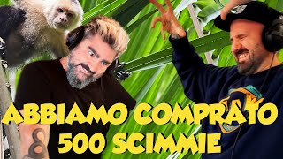 ABBIAMO COMPRATO 500 SCIMMIE [upl. by Laemaj]