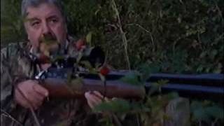 Hunting with Air Rifles [upl. by Woods]