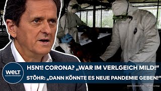 H5N1 quotCorona war im Vergleich mildquot Vierter VogelgrippeFall in USA Neue Pandemie Das sagt Stöhr [upl. by Eatnohs]