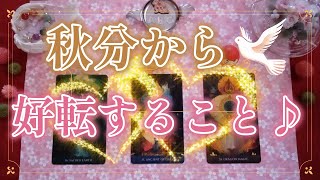 148eriko耳olacle💖「秋分から好転すること」🍀💫🙌💐世界は常に変化するものです🌀オラクル🔮ルノルマン🎀タロット🃏未來への希望✨💫🌟🙌💖 [upl. by Ggerg789]