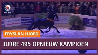 REPO Jurre 495 wederom kampioen bij paardenkeuring [upl. by Kcid]