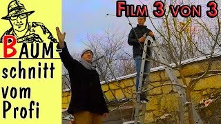 So machts der Profi Obstbaumschnitt Film 3 von 3 [upl. by Kameko16]