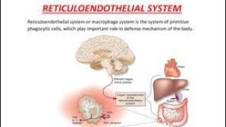 Mnemonics to remember Cells of the reticuloendothelial system and their location [upl. by Zellner]