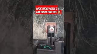 How to inspect a flooded vehicle 🕵️🌊🚗carevolution floodedcar car reels automobile trend vlog [upl. by Trust]