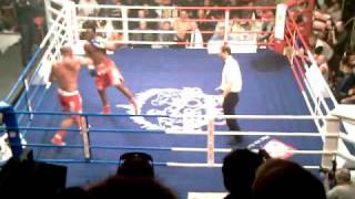 Best Czech Knockout 2010  Petr Horacek vs Pacome Assi  profi box a K1 Lucerna [upl. by Yank]