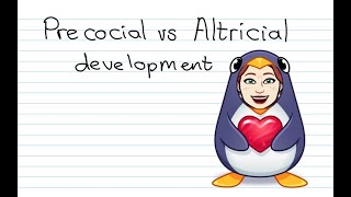 Precocial vs Altricial Development [upl. by Adnauqahs69]