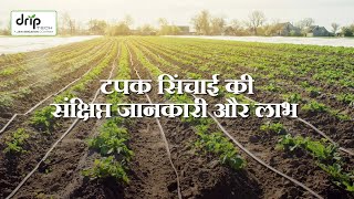 What is Drip Irrigation  ठिबक सिंचन म्हणजे काय  टपक सिंचाई क्या है [upl. by Halona]