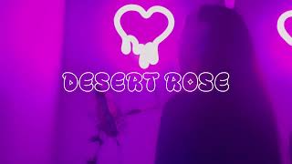 DESERT ROSE  LOLO ZOUAï Vanna Rainelle Cover [upl. by Eleonore]