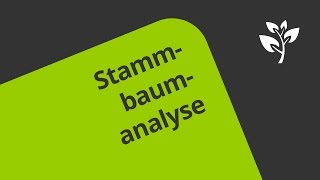 Beispiel zur Stammbaumanalyse  Biologie  Genetik [upl. by Tani]