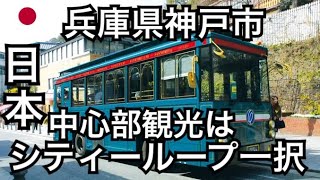 【神戸旅3】神戸観光はシティーループがおすすめ！【神戸ビーフ】【神戸牛】【神戸市役所】【株式会社神戸市】【ポートタワー】【ハーバーランド】【ビリケンパーク】【中央中突堤】【神戸港遊覧】 [upl. by Levine721]