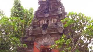 Ubud Royal Palace Puri Saren Ubud Bali [upl. by Dorrehs]