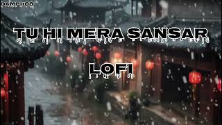 Tu hi mera sansar lofi song new song 2025  trending music remix song lofi [upl. by Iram660]