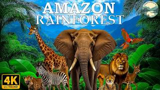 ANIMALS OF AMAZON RAINFOREST 4K Ultra HD – Jungle Wildlife and Sounds [upl. by Annawak45]