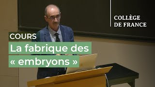 La fabrique des « embryons » 2  Denis Duboule 20232024 [upl. by Ahsiele266]