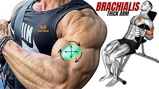 13 BEST BRACHIALIS WORKOUT AT GYM TO GET BIGGER ARMS FAST [upl. by Ailecara127]