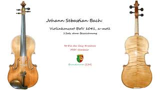 Johann Sebastian Bach Violinkonzert amoll BWV 1041 1Satz ohne Bezeichnung [upl. by Ahsilav]