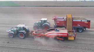 La Ferme de lArtois producteur et conditionneur doignons en HautsdeFrance [upl. by Ominoreg271]