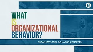 What is Organizational Behavior [upl. by Harrie]