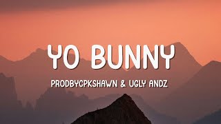 Ugly Andz x Prodbycpkshawn  Yo Bunny Lyrics [upl. by Amos]