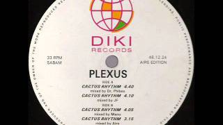 Plexus  Cactus Rhythm Mixed by Mike Ferlin 1991 Vocal [upl. by Eirhtug]