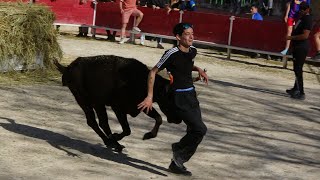 BARBENTANE JOURNÉE TAURINE 250323 [upl. by Aniad18]