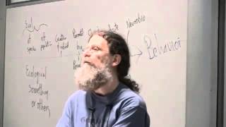 Dr Robert Sapolsky on Human Polygamy [upl. by Anwahsal619]