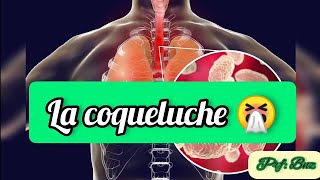 Le coqueluche 🥵 définition  les symptômes  le diagnostic et le traitement [upl. by Nerrol]